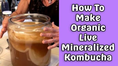 How To Make Organic Live Mineralized Kombucha