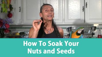 How To Soak Your Nuts and Seeds