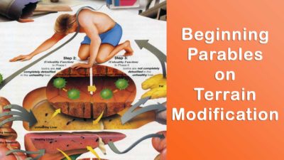 Beginning Parables on Terrain Modification