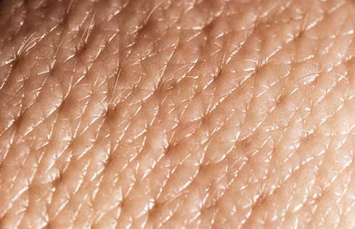 Skin Close Up