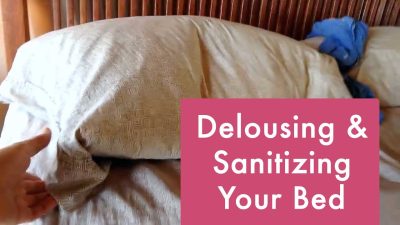 Delousing and Sanitizing Your Bed