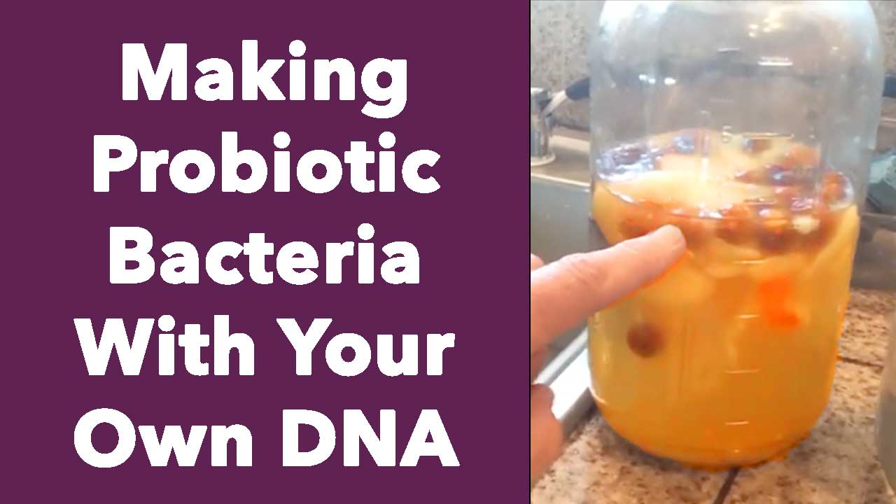 Making Probiotic Bacteria With Your Own DNA