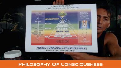 Philosophy Of Consciousness