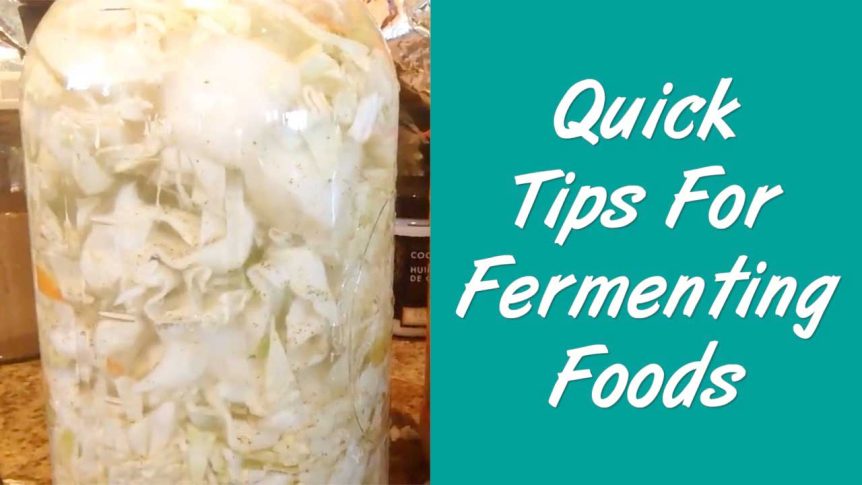 Quick Tips For Fermenting Foods