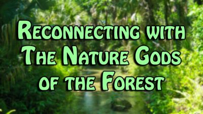 Reconnecting with The Nature Gods of the Forest