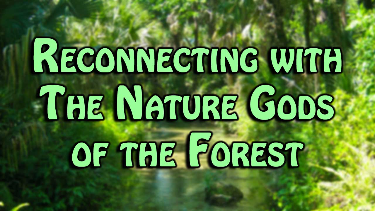 Reconnecting with The Nature Gods of the Forest
