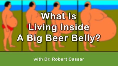 What Is Living Inside A Big Beer Belly?