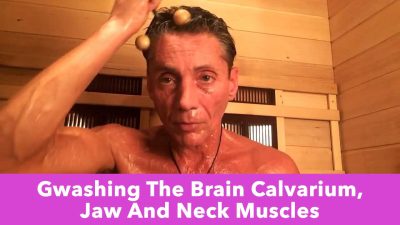 Gwashing The Brain Calvarium, Jaw And Neck Muscles