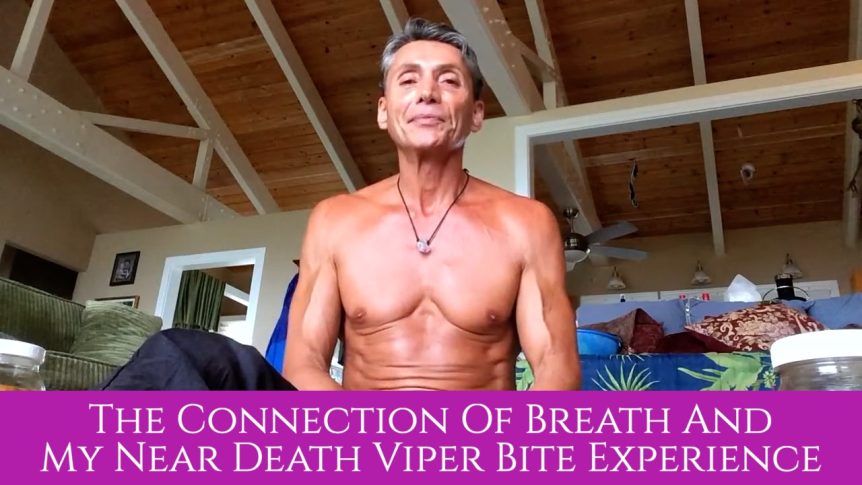 The Connection Of Breath And My Near Death Viper Bite Experience