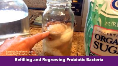 Refilling and Regrowing Probiotic Bacteria