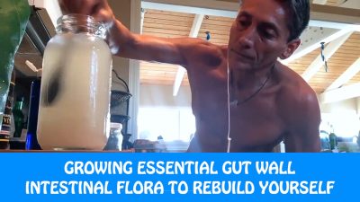 Growing Essential Gut Wall Intestinal Flora To Rebuild Yourself