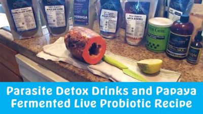 Parasite Detox Drinks and Papaya Fermented Live Probiotic Recipe