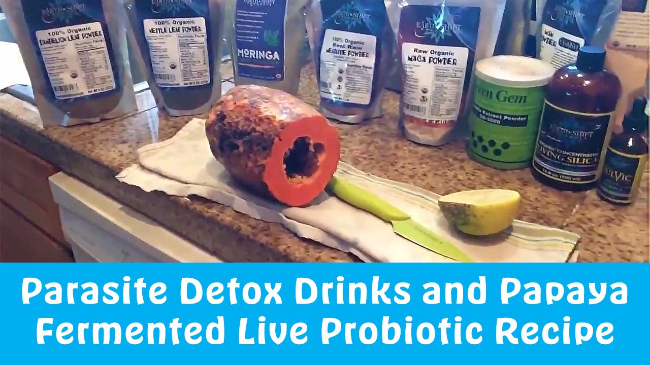 Parasite Detox Drinks and Papaya Fermented Live Probiotic Recipe