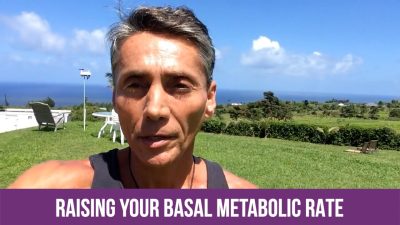 Raising Your Basal Metabolic Rate
