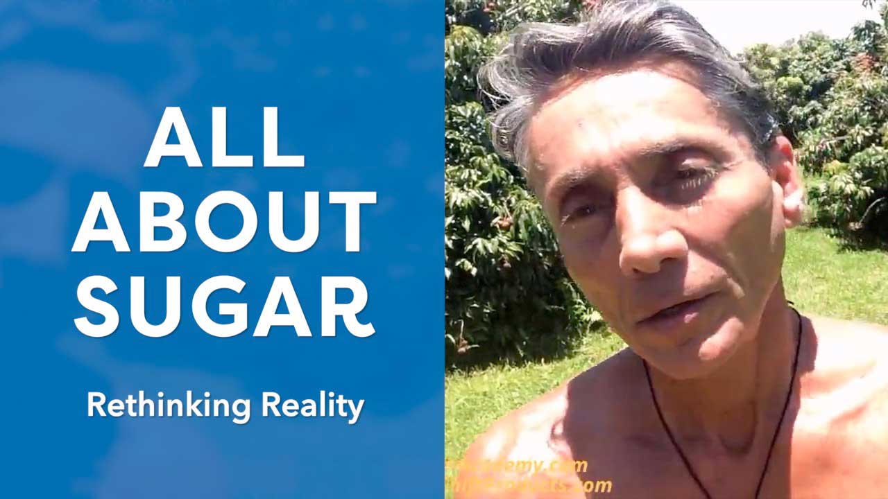 All About Sugar