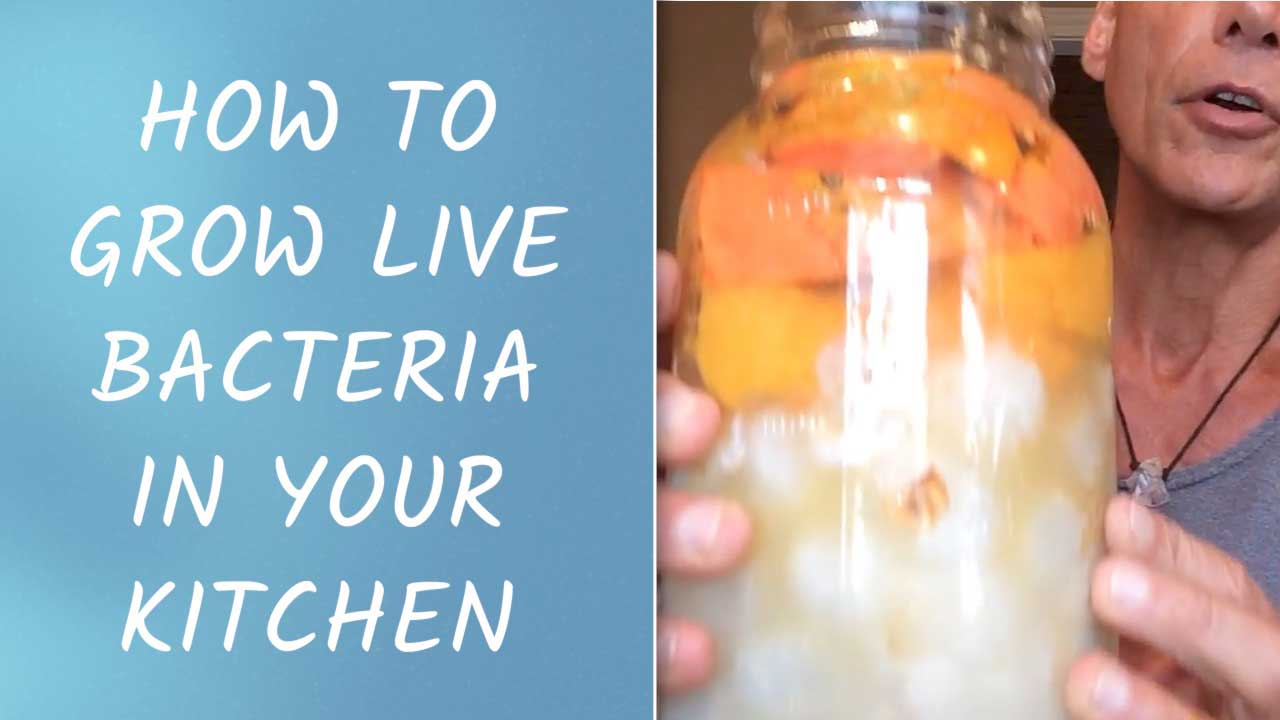 How To Grow Live Bacteria In Your Kitchen
