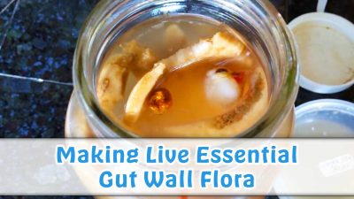 Making Live Essential Gut Wall Flora