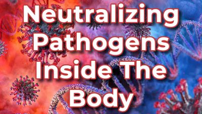 Neutralizing Pathogens Inside The Body