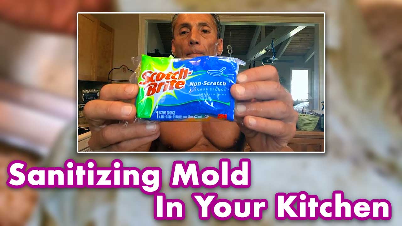 Sanitizing Mold In Your Kitchen
