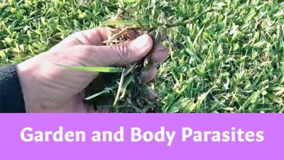 Garden and Body Parasites