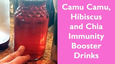 Camu Camu, Hibiscus and Chia Immunity Booster Drinks