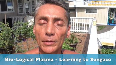 Biological Plasma Learning To Sungaze