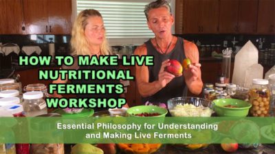How To Make Live Nutritional Ferments Workshop with Dr. Robert Cassar