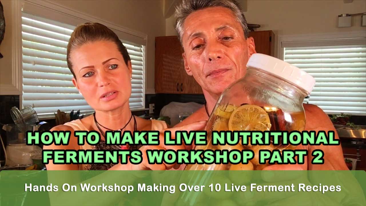 How To Make Live Nutritional Ferments Workshop Part 2