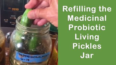Refilling the Medicinal Probiotic Living Pickles Jar
