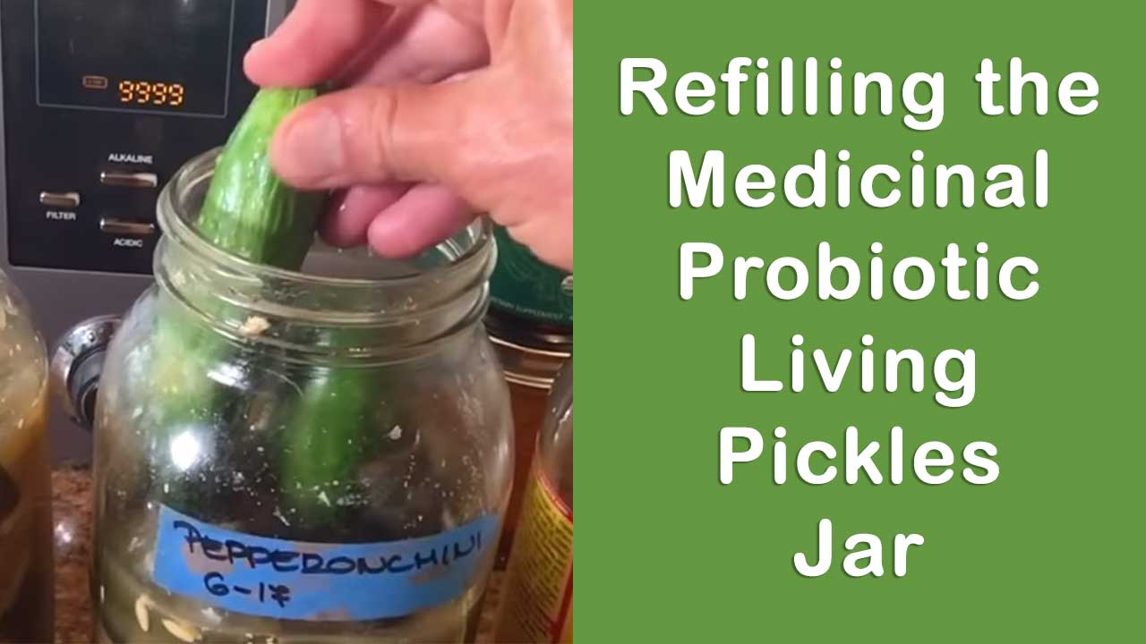 Refilling the Medicinal Probiotic Living Pickles Jar