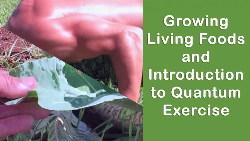 Growing Living Foods and Introduction to Quantum Exercise