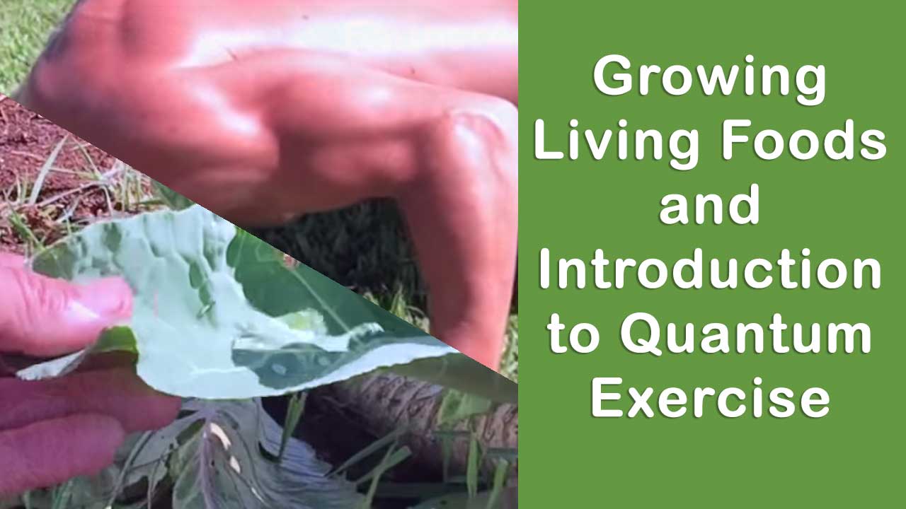 Growing Living Foods and Introduction to Quantum Exercise