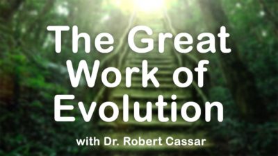 The Great Work of Evolution