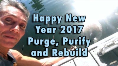 Happy New Year 2017 - Purge, Purify and Rebuild