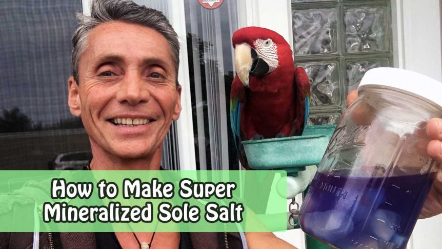 How to Make Super Mineralized Sole Salt