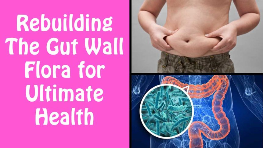 Rebuilding The Gut Wall Flora for Ultimate Health