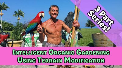 Intelligent Organic Gardening Using Terrain Modification