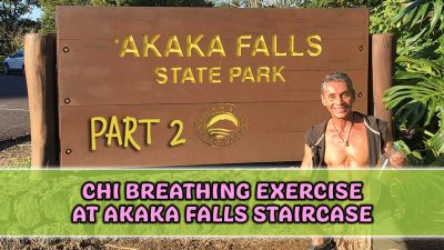 Chi Breathing Exercise at Akaka Falls Staircase