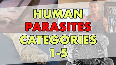 Human Parasites Categories 1-5