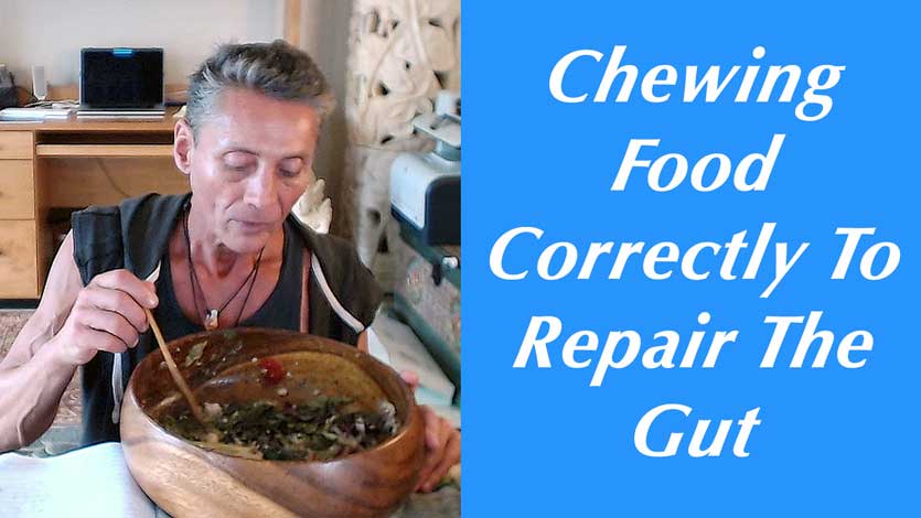 Chewing Food Correctly To Repair The Gut