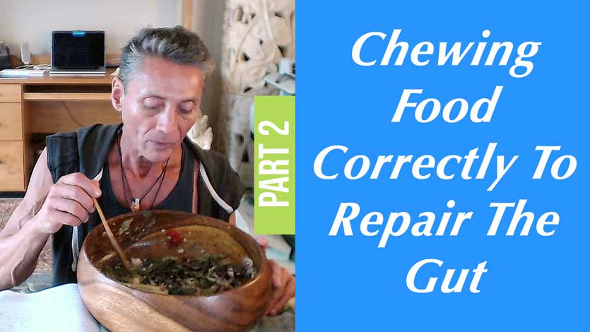 Chewing Food Correctly To Repair The Gut Part 2