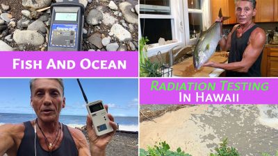 Fish And Ocean Radiation Testing In Hawaii