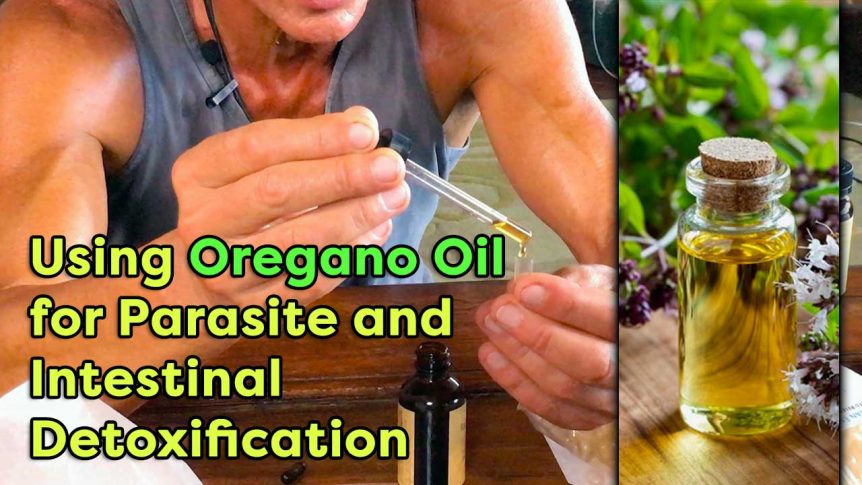 Using Oregano Oil For Parasite And Intestinal Detoxification