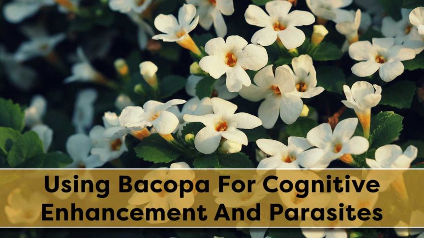 Using Bacopa For Cognitive Enhancement And Parasites