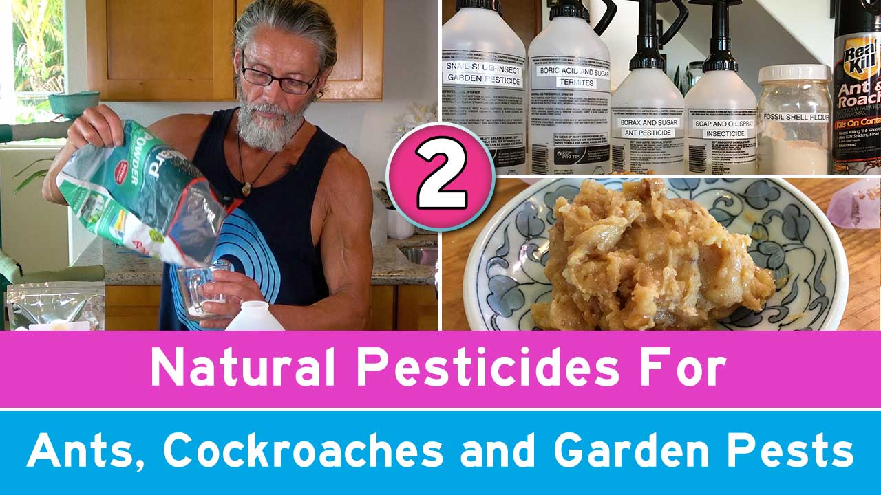 Natural Pesticides For Ants, Cockroaches and Garden Pests Part 2
