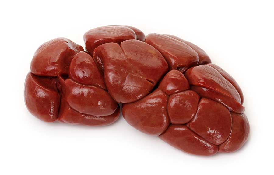 Beef kidney isolated on white background