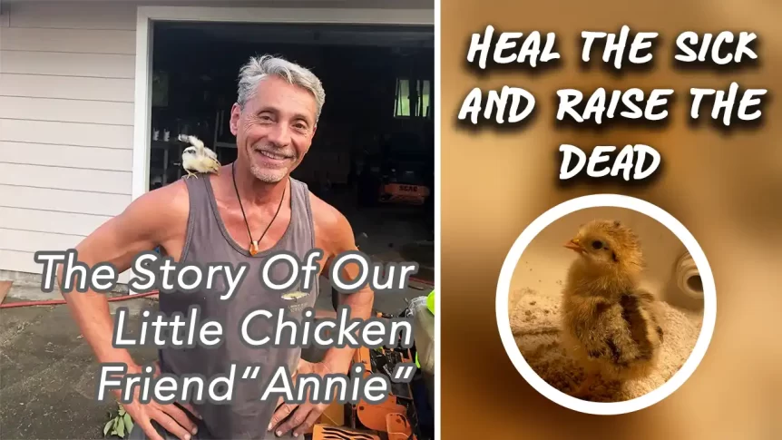 Heal The Sick & Raise The Dead - The Story Of Our Little Chicken Friend "Annie"