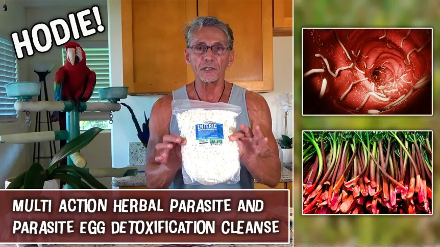 Multi Action Herbal Parasite and Parasite Egg Detoxification Cleanse