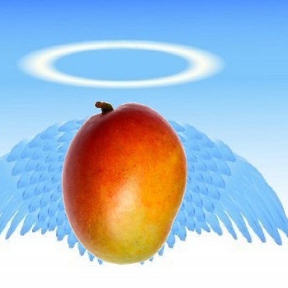 Profile picture of Shankar_Baba_Laba_Aloha_Mango